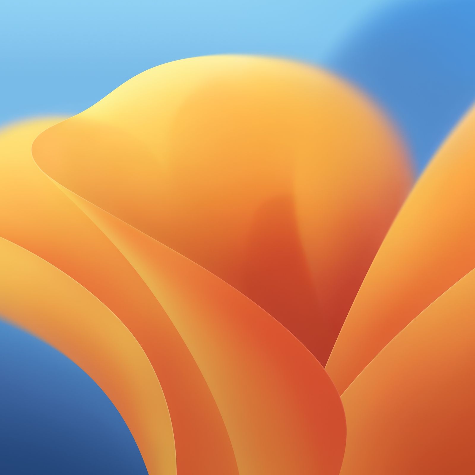 VMware Fusion に macOS Ventura Beta をインストールする